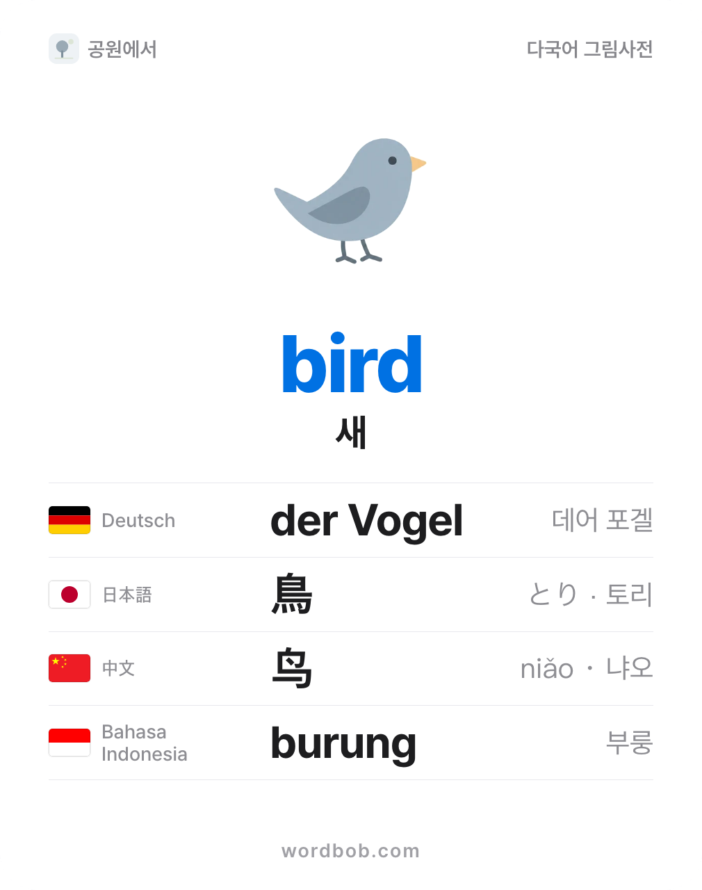 새(bird) 그림 카드 — 새 · bird · der Vogel · 鳥 · 鸟 · burung