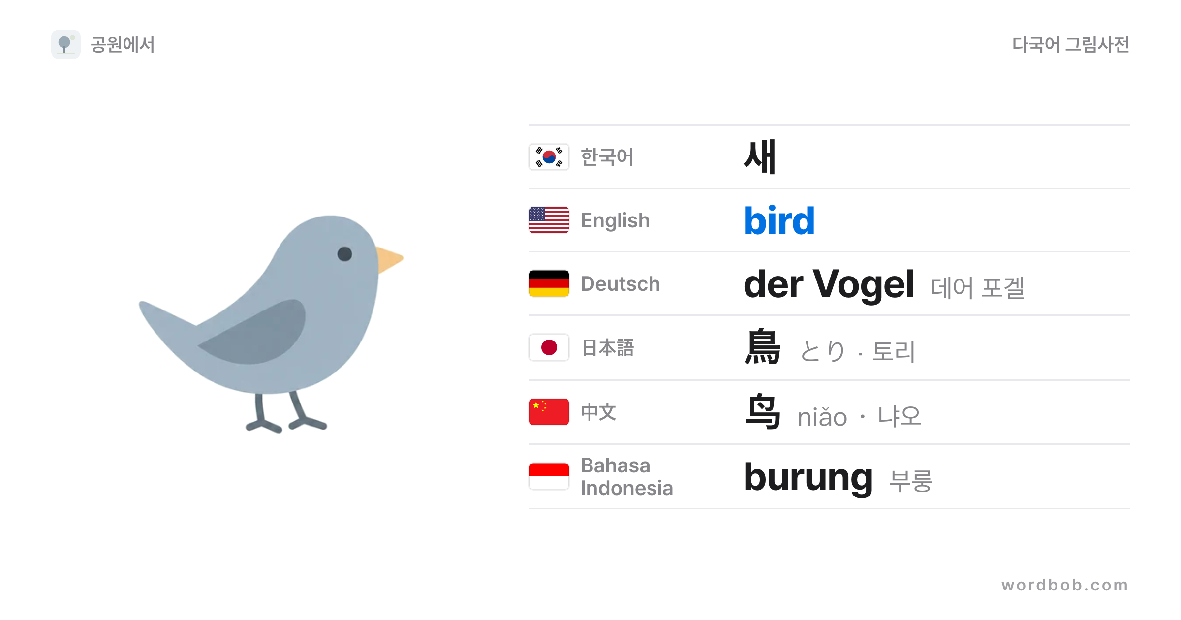 새(bird) 그림 카드 — 새 · bird · der Vogel · 鳥 · 鸟 · burung