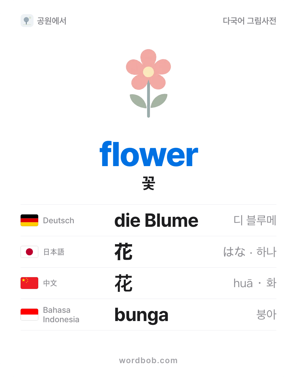꽃(flower) 그림 카드 — 꽃 · flower · die Blume · 花 · 花 · bunga