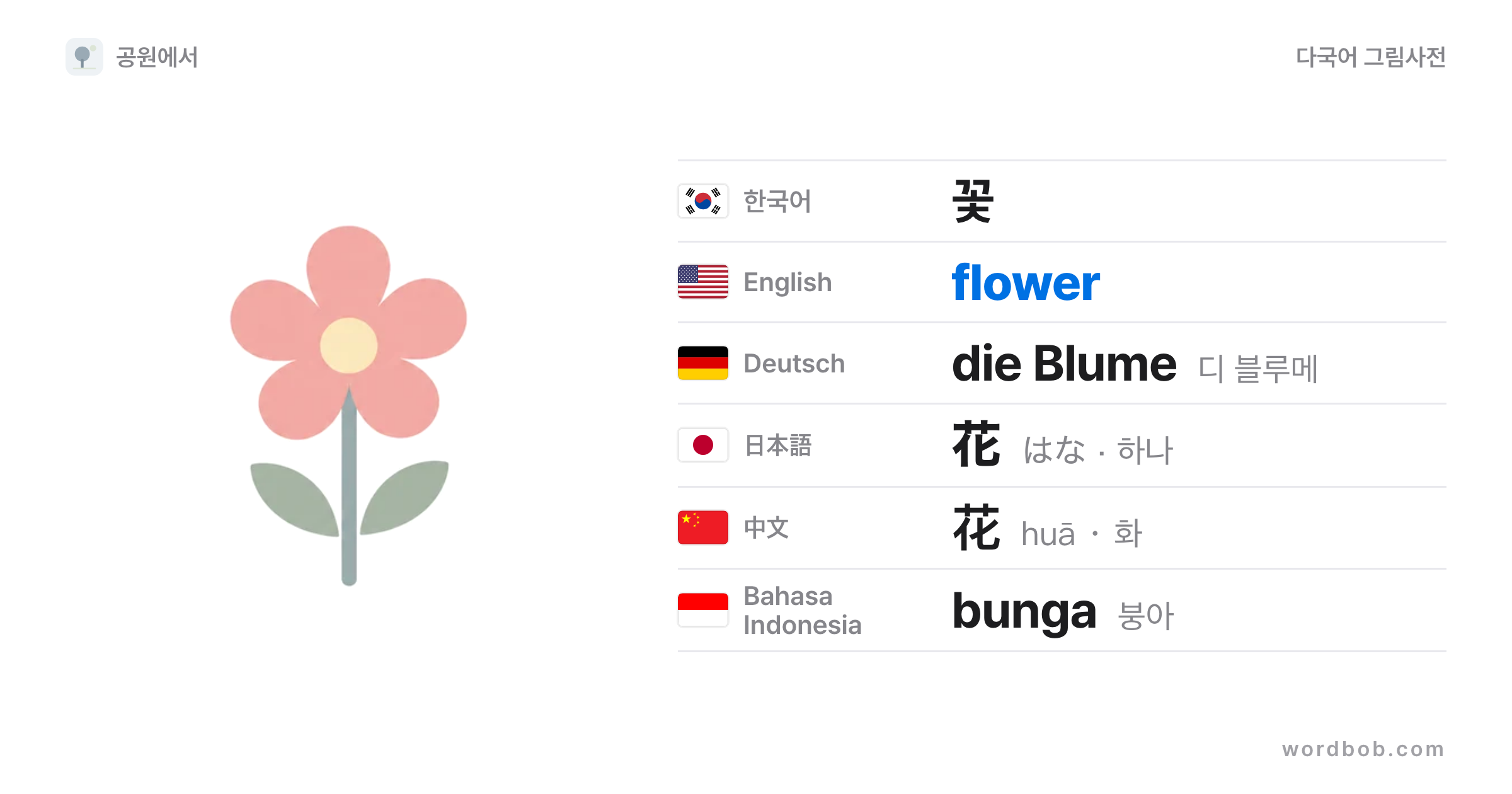 꽃(flower) 그림 카드 — 꽃 · flower · die Blume · 花 · 花 · bunga