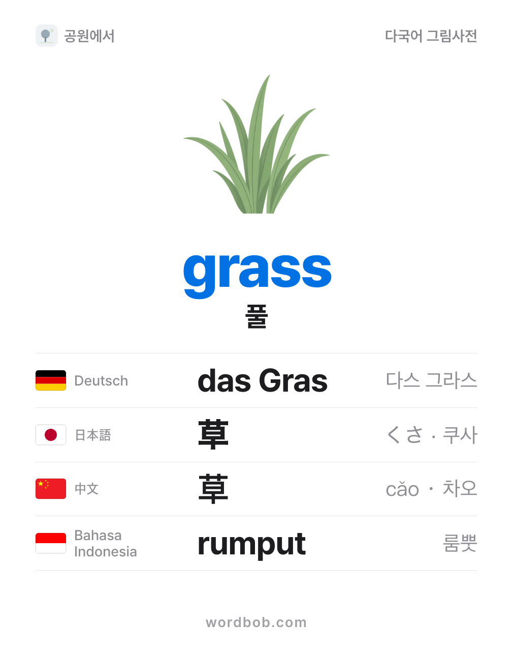 풀(grass) 그림 카드 — 풀 · grass · das Gras · 草 · 草 · rumput