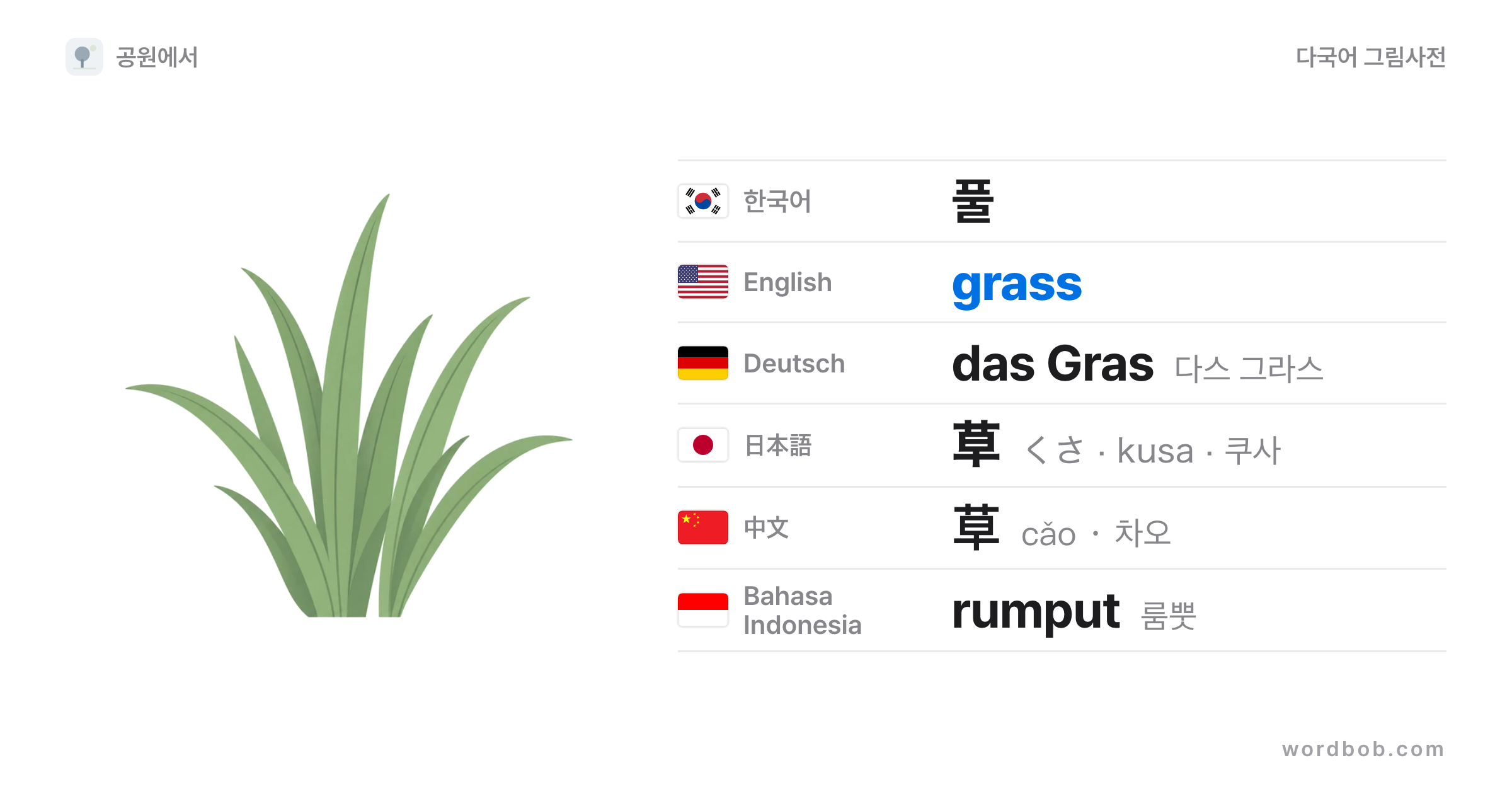 풀(grass) 그림 카드 — 풀 · grass · das Gras · 草 · 草 · rumput