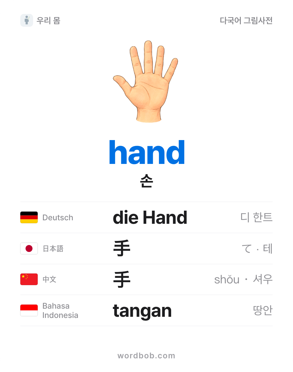 손(hand) 그림 카드 — 손 · hand · die Hand · 手 · 手 · tangan