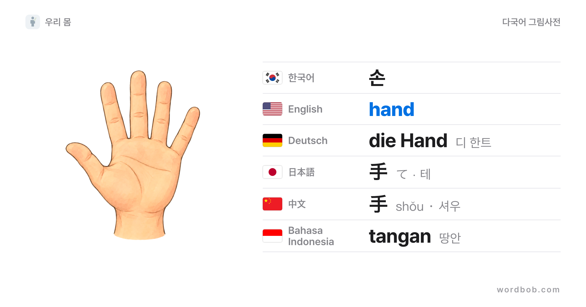 손(hand) 그림 카드 — 손 · hand · die Hand · 手 · 手 · tangan