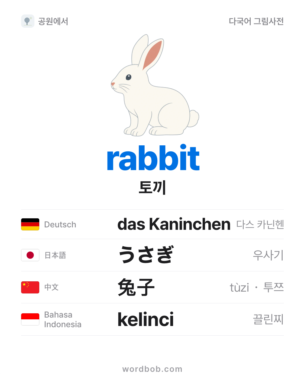 토끼(rabbit) 그림 카드 — 토끼 · rabbit · das Kaninchen · うさぎ · 兔子 · kelinci
