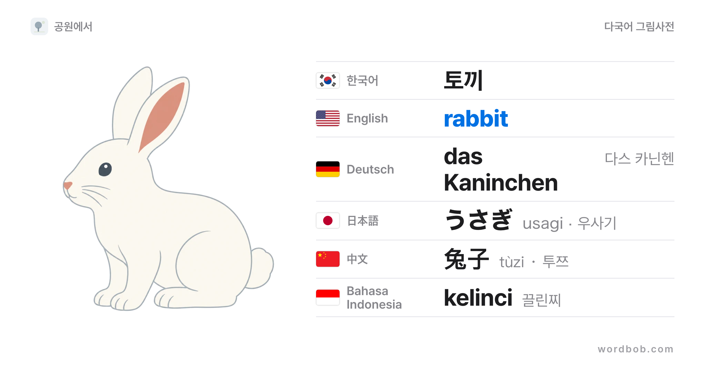 토끼(rabbit) 그림 카드 — 토끼 · rabbit · das Kaninchen · うさぎ · 兔子 · kelinci